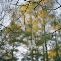 gal/Untitled (Project)/_thb_038snowflakeweb.jpg